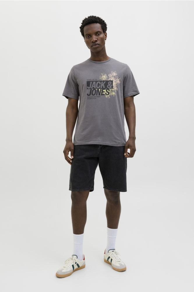 JJJAXON TEE SS CREW NECK 12269390 CASTLEROCK